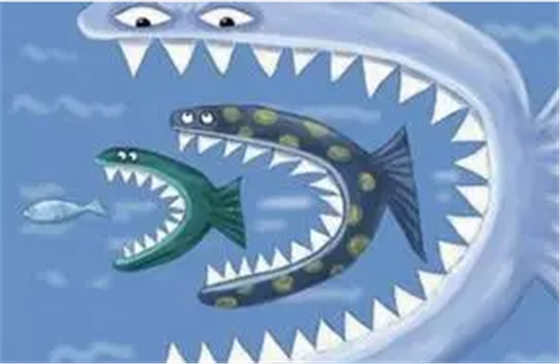 大魚.png 大魚.png